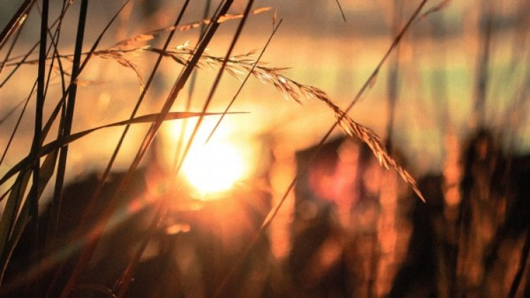 Снимка: visualhunt.com