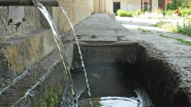 Архив: Булфото