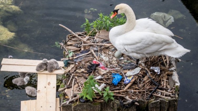 Снимка: Reuters