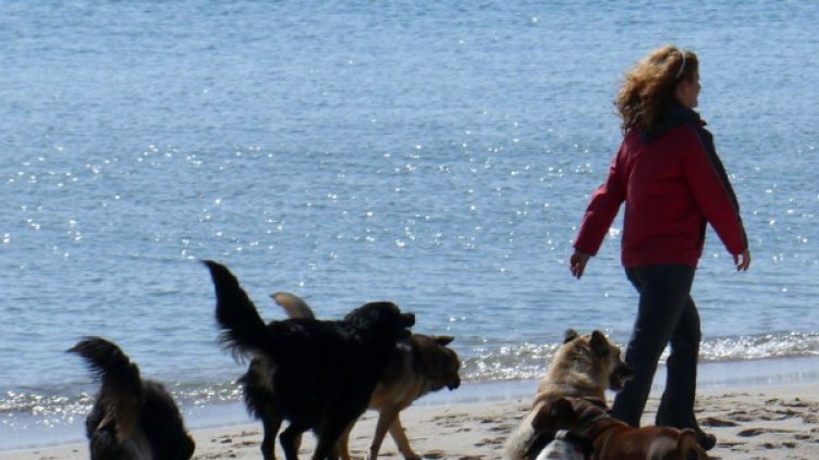 Снимка: архив, Булфото