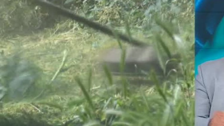 Снимка: Bulgaria ON AIR