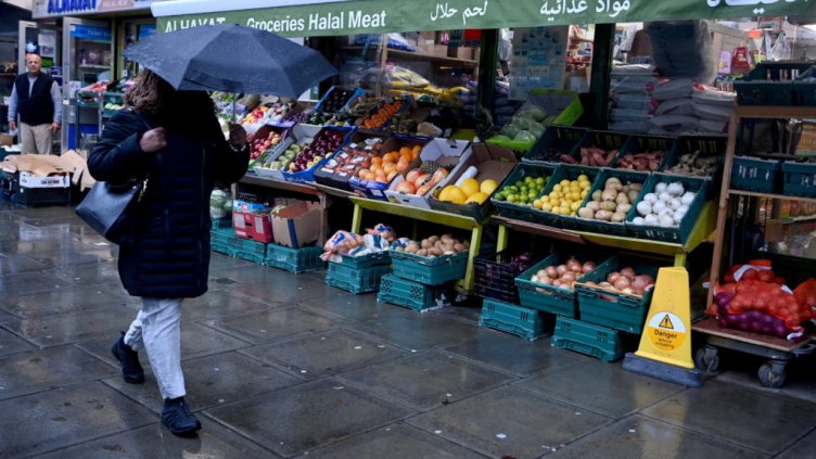 Снимка: архив, БГНЕС