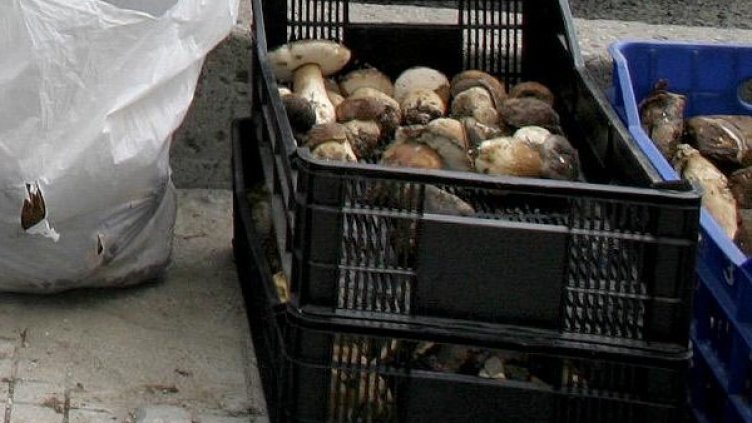 Снимка: БулФото, архив