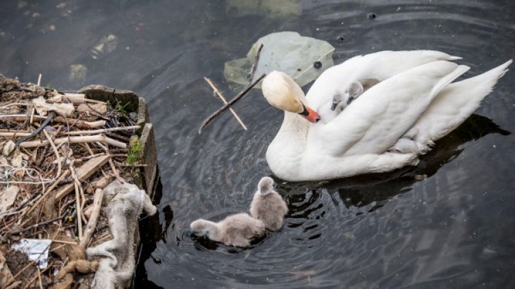 Снимка: Reuters, архив