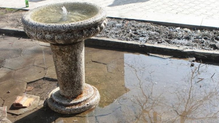 Снимка: архив, Булфото