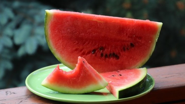 Снимка: pixabay