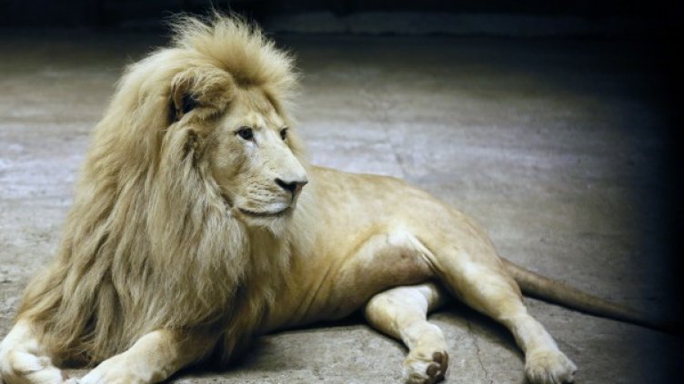 Снимка: архив, Reuters