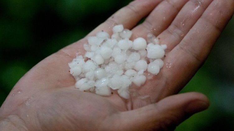 Снимка: Булфото, архив