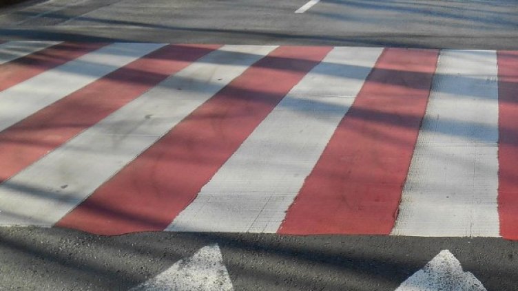 Снимка: архив "Булфото"