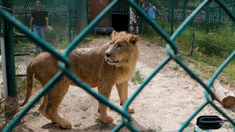 Снимка: архив, Reuters