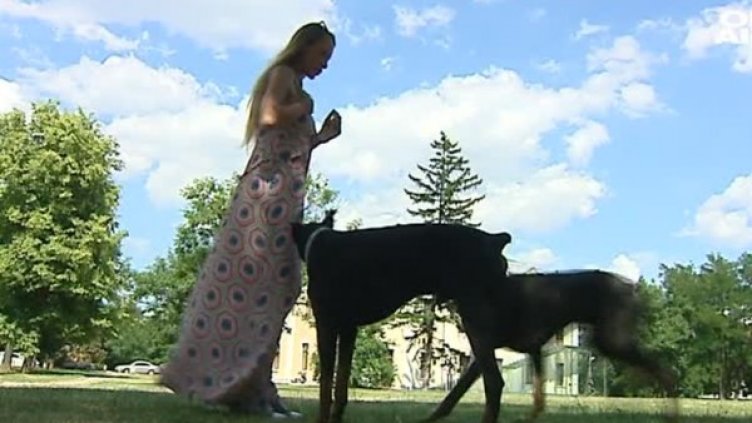 Снимка: Bulgaria ON AIR