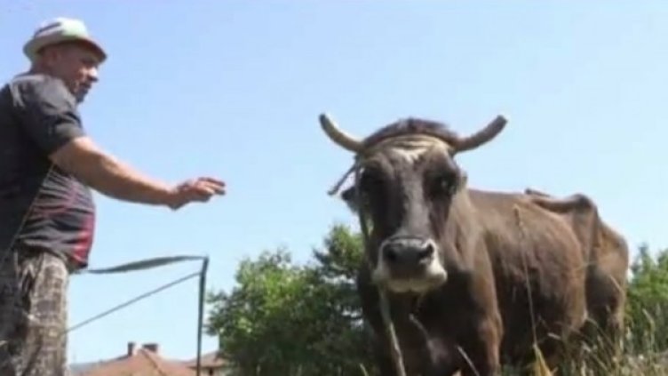 Снимка: Кадър БНТ