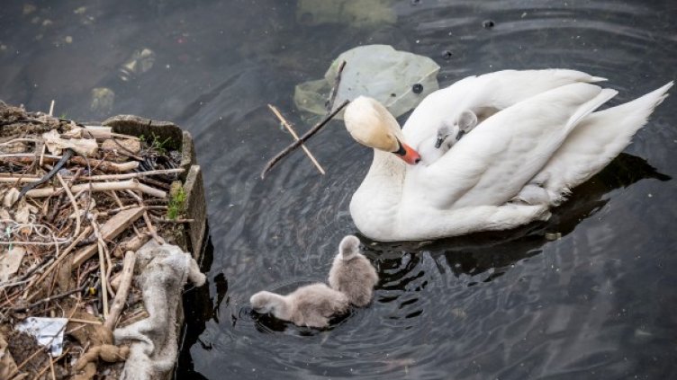 Снимка: Reuters, архив