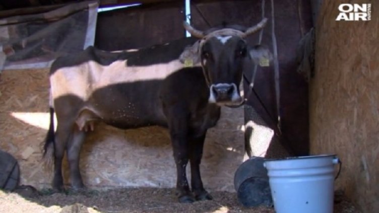 Снимка: bgonair.bg