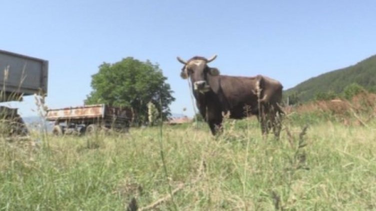 Снимка: БНТ