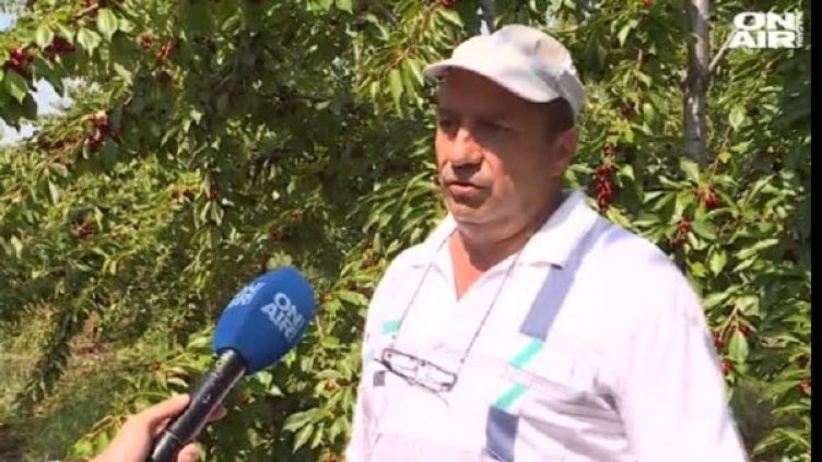 Снимка: bgonair.bg