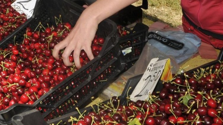 Снимка: архив, Булфото