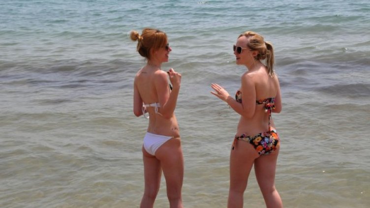 Снимка: Bulfoto, архив