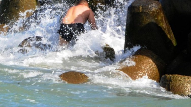 Снимка: Bulfoto, архив