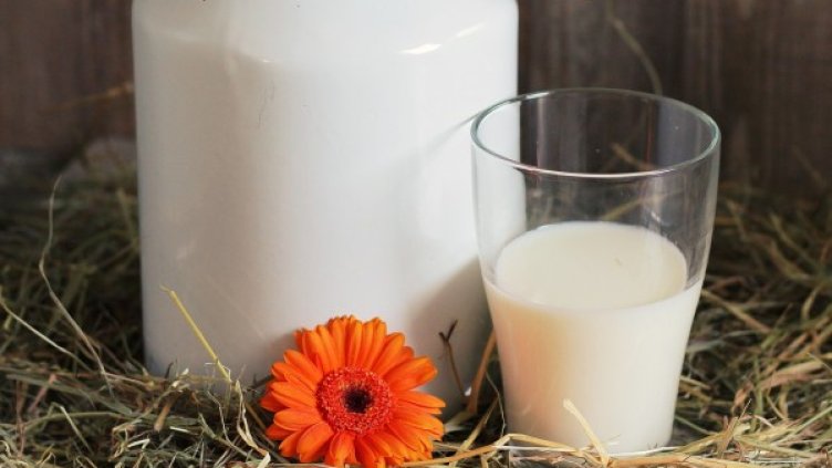 Снимка: Pixabay