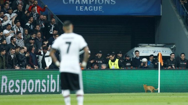 Снимка: Reuters