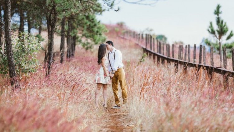 Снимка: pixabay