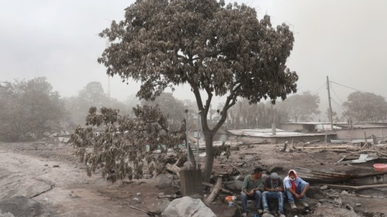 Снимка: Reuters