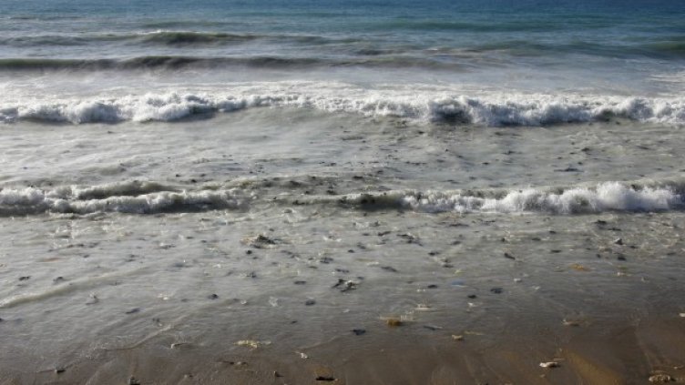 Снимка: архив, Reuters