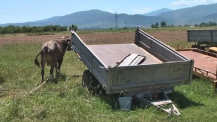 Снимка: Bulgaria ON AIR