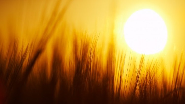 Снимка: flickr