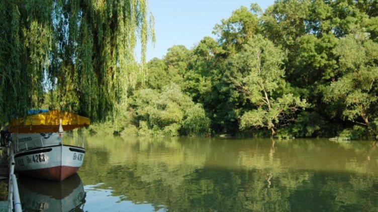 Архив: Булфото