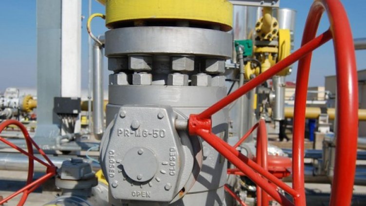 Снимка: архив, БулФото