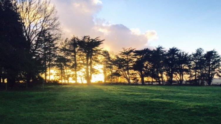 Снимка: flickr