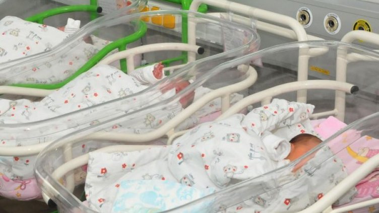 Снимка: архив, Булфото