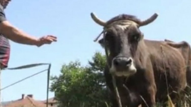 Снимка: БНТ