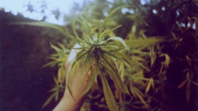 Снимка: visualhunt.com