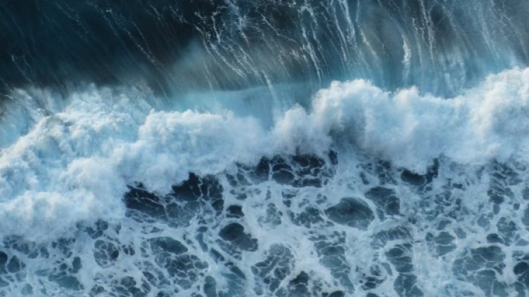 Снимка: pixabay.com