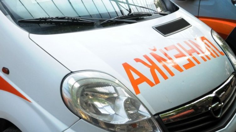 Снимка: Архив, Булфото