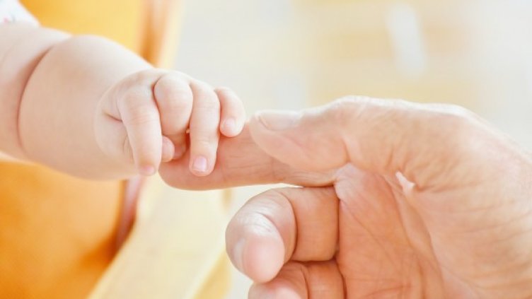 Снимка: pixabay.com