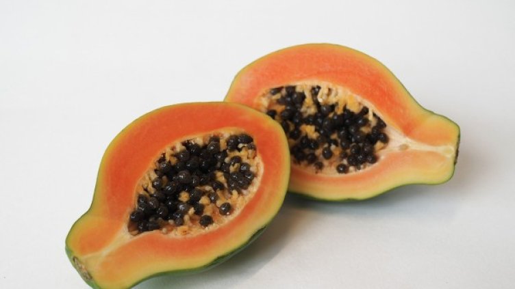 Снимка: pixabay