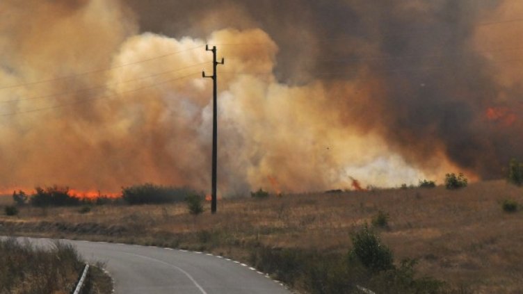 Снимка: Булфото