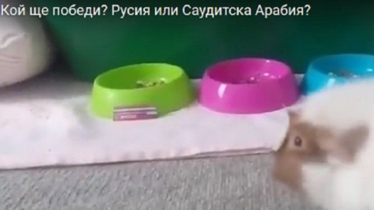 Снимка: Reuters