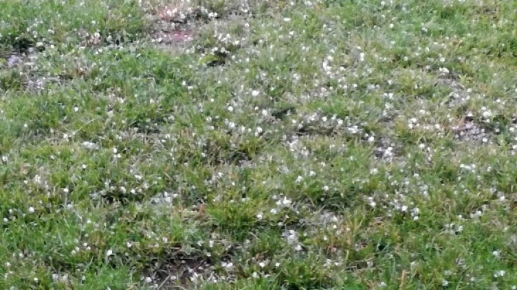 Снимка: Булфото, архив