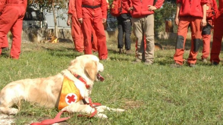 Снимка: Булфото, архив