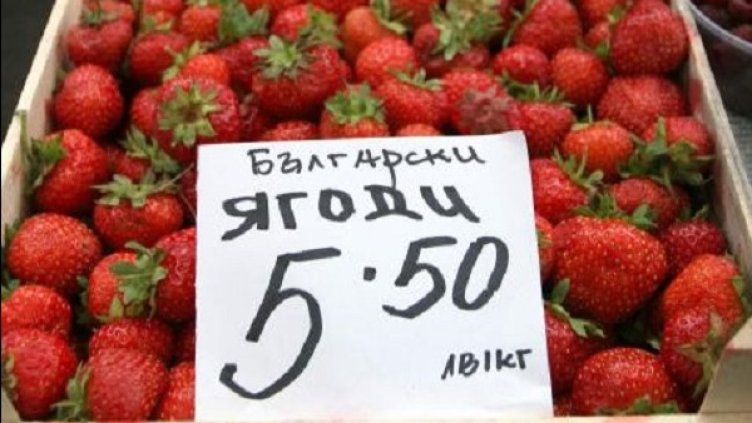 Снимка: "Монитор"