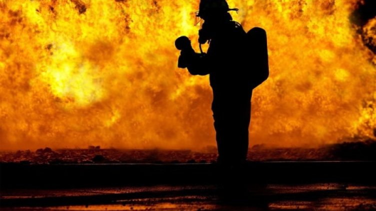 Снимка: Pixabay