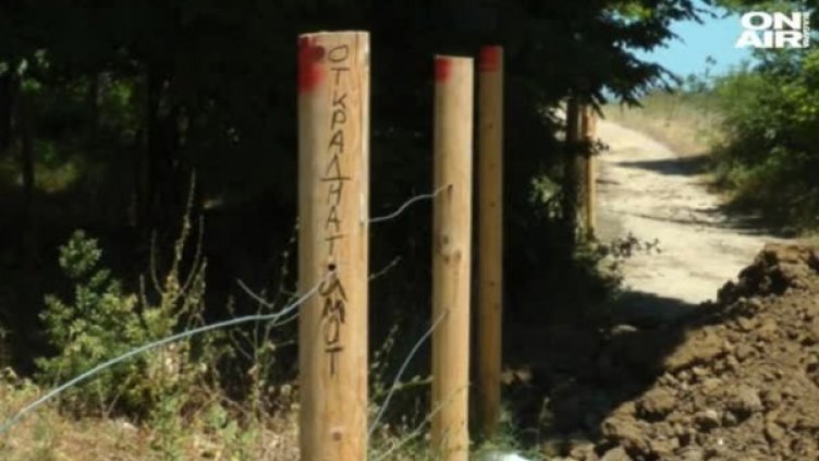 Снимка: Кадър Bulgaria ON AIR