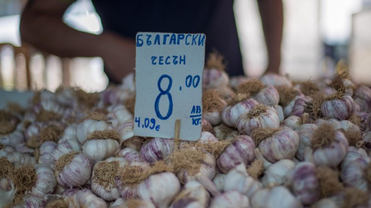 Димитър Кьосемарлиев, Dnes.bg