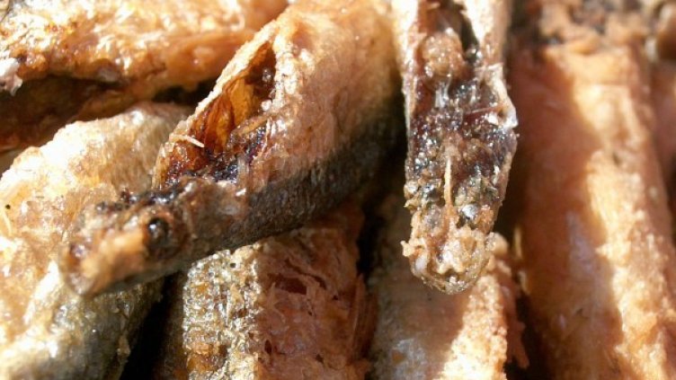 Архив: Булфото