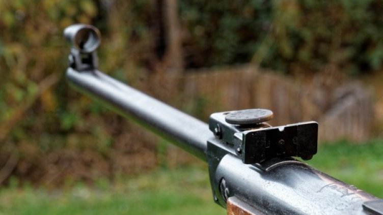 Снимка: Pixabay